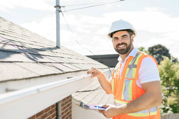 Best Roof Gutter Cleaning  in Roselle, NJ