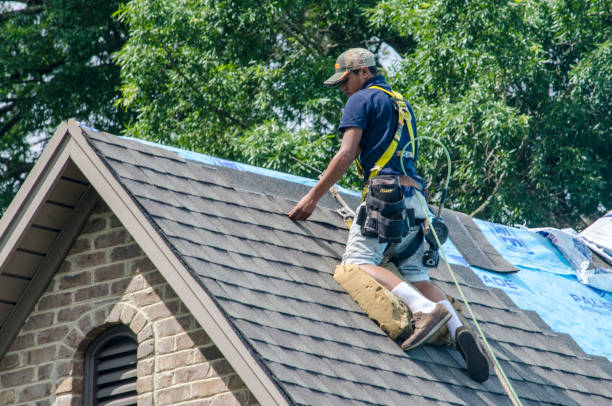 Best Roof Waterproofing Services  in Roselle, NJ